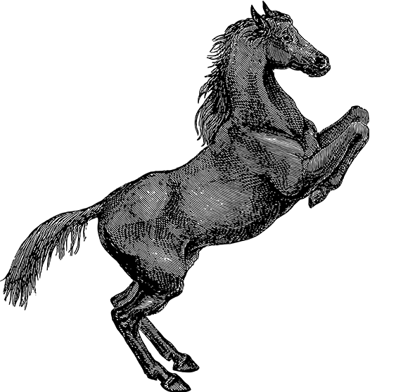 金年会